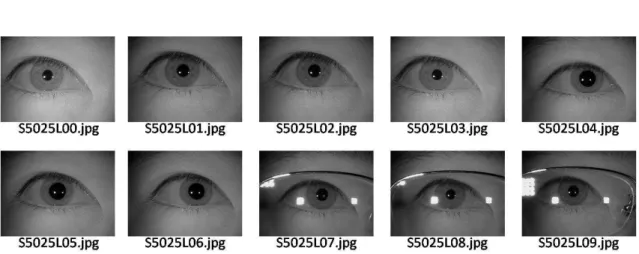 Figure 2-7: Sequence of images for the subject S5025L from CASIA-IrisV4-Thousand. 