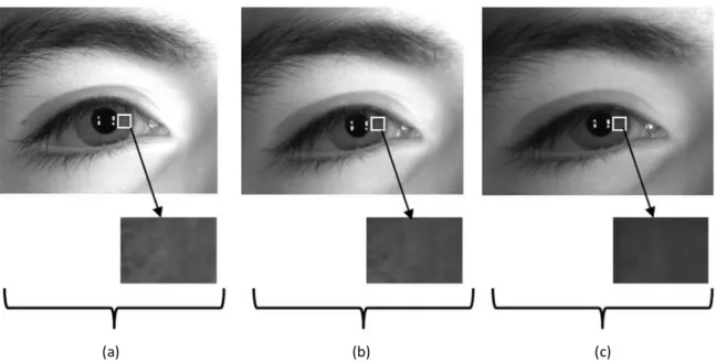 Figure 2-8: Degradation of the iris texture since the distance of the acquisition increases