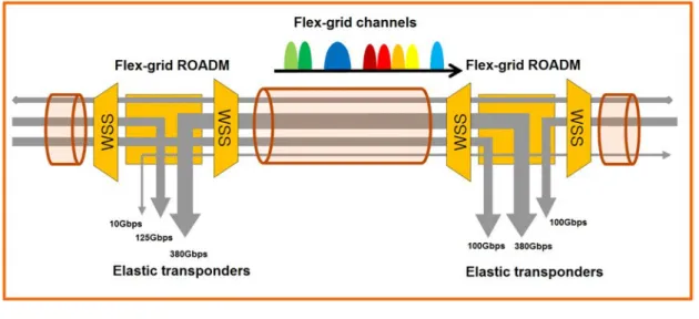 Figure 2.1 — Flex-grid technology concept - Required equipment.
