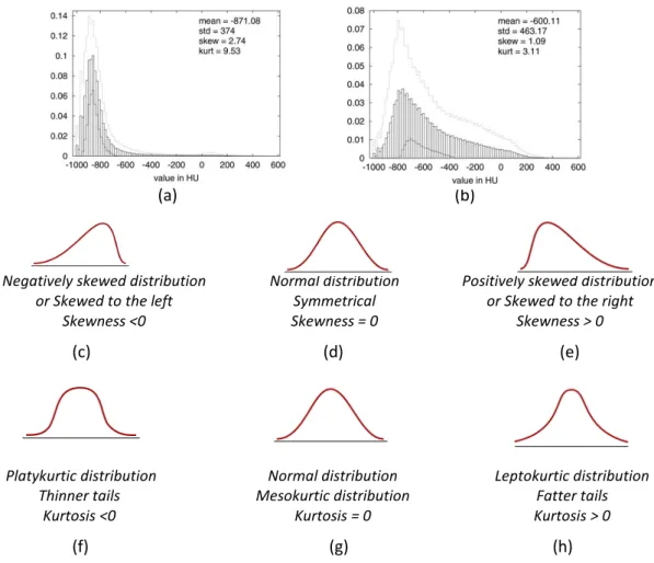 Figure 29. Illustration of example curves and their correspondent parameters: first row (a,b) – MLD and standard deviation  (examples taken from [17]); second row (c,d,e) – skewness; third row (f,g,h) - kurtosis values
