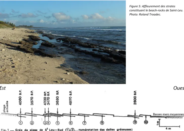 Figure 5: Affleurement des strates  constituant le beach-rocks de Saint-Leu. 