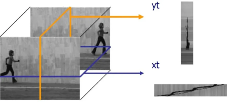 Figure III.3 Plan orthogonaux  yt et  xt utilisés par Kellokumpu  et al. (source : [115]) pour le calcul des  LBP