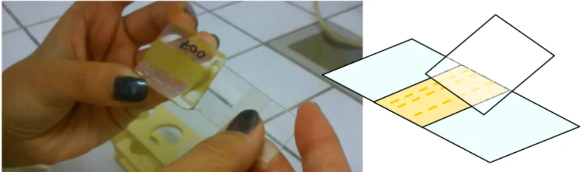 Figure 7 – Etalement et orientation par frottis sur lame de verre de la pâte argileuse &lt;2 µm