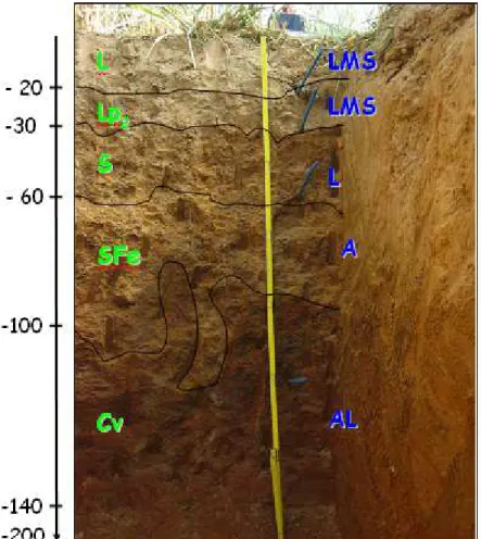 Figure 4 : Profil de sol observé sur le site de Lusignan : Brunisol saturé développé sur argile rubéfiée avec vestige  de carapace ferrugineuse