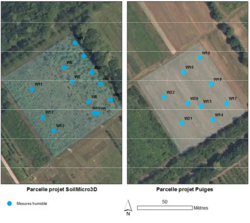 Figure 4 : Position des mesures de la teneur en eau massique du sol sur les deux parcelles 