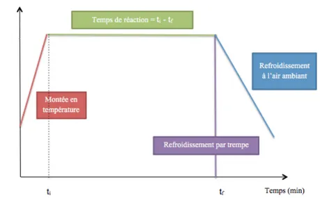 Figure 2.3 – Profil de température en fonction du temps dans le réacteur t i : temps initial (t i = 0min) ; t f : temps final.