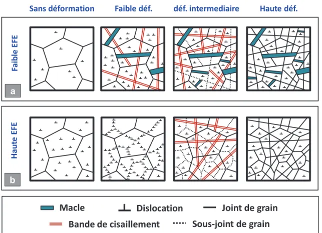 Figure 1.13 – Mécanismes de raffinement de la microstructure pour des matériaux avec une (a) faible et (b) haute énergie de faute d’empilement (EFE).