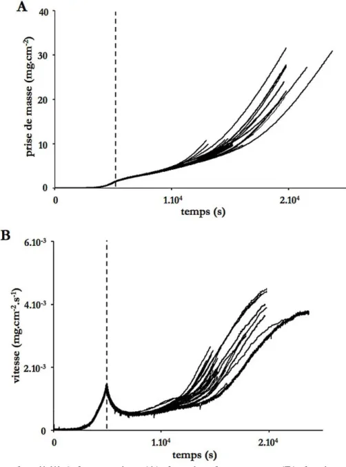 Figure 52 - Reproductibilité des courbes (A) de prise de masse et (B) de vitesse pour des  plaquettes de Zy4 sous 20% O 2  - 80% N 2  