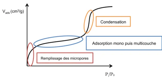 Figure 1.19 Ű Exemple dŠisotherme dŠadsorption de diazote à 77 K sur un solide poreux (a) adsorption sur les sites les plus actifs et remplissage des micropores, (b) adsorption monomoléculaire, formation de la monocouche puis adsorption multicouche et (c) 
