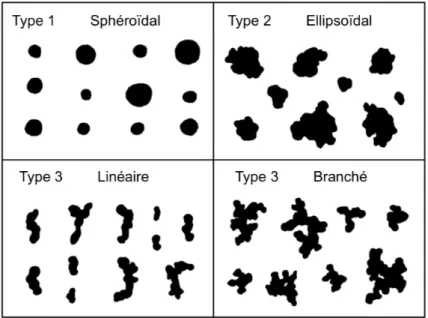 Figure 1.29 Ű ClassiĄcation des catégories de formes dŠagrégats de noir de carbone, dŠaprès [Herd+1992]