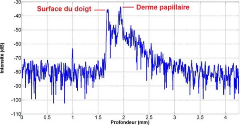 Figure 4.2 - A-scan pour lequel le pic d'intensité maximale est associé au derme papillaire, et pas à la  surface du doigt.