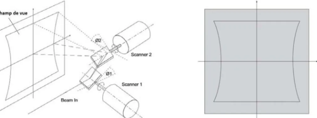 Figure 2.9 - Distorsions du champ de vue (dite Pillow-Shaped) causées par la géométrie du système de  balayage à deux miroirs galvanométriques.