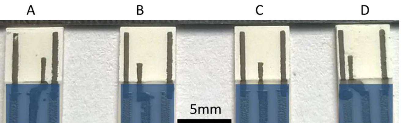 Figure 2.8: Photo of three- electrode cell with different position of reference electrode  manufactured in EMSE