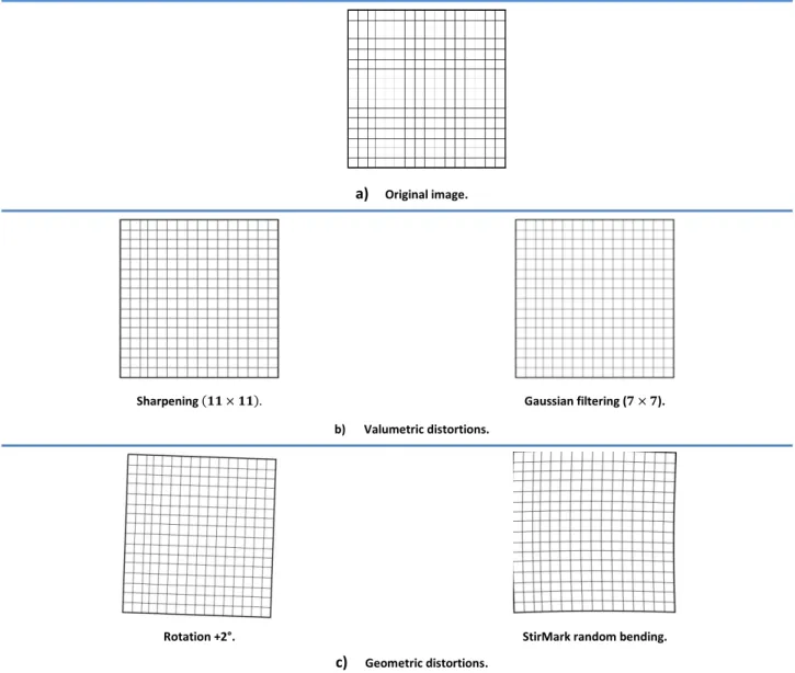 Figure 1.16 Test image with samples of its corresponding attacked versions. 