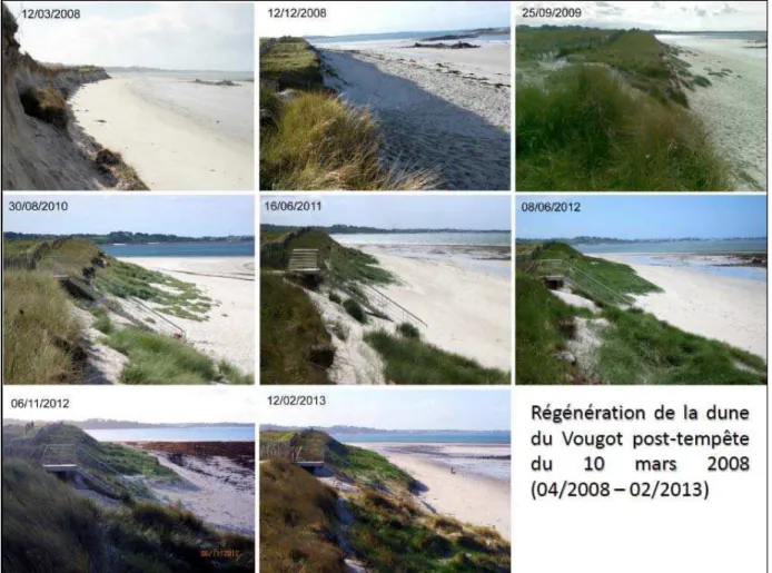 Figure 5. Photos diachroniques prises entre le 12 mars 2008 et le 12 février 2013, montrant  l’avancée  du trait de côte par la construction d’un bourrelet dunaire.