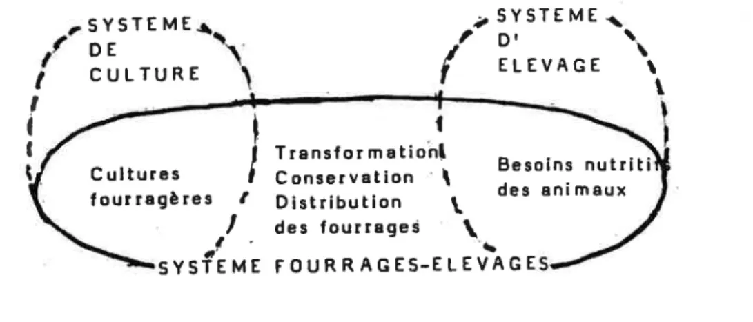 Figure  5:  Place du système  Fourrages-Elevages SYSTE  ME DE I CULTURE I ,I I Transformationl C  onservation  \ Distribution  t des  fourragei ,  SYSTEME  \Dr  a\ELEVAGE  T tBesoins nutritides ani maux