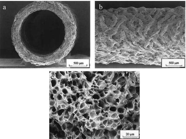 Fig. 11. SEM of a porous PC hollow fibre by extrusion: (a) cross-section, (b) outer surface, (c) cross-section at higher magnification [78]