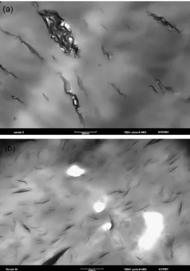 Fig. 13. Micrographs of composites prepared with injection of the CO 2 : (a) alone, (b) previously mixed with the nanoparticles [95]