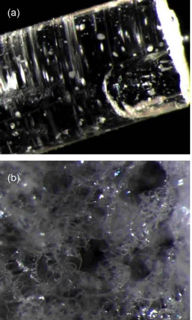 Fig. 15. Hot stage extrusion of itraconazole/PVP-VA 64: (a) with and (b) without CO 2 injection [60]