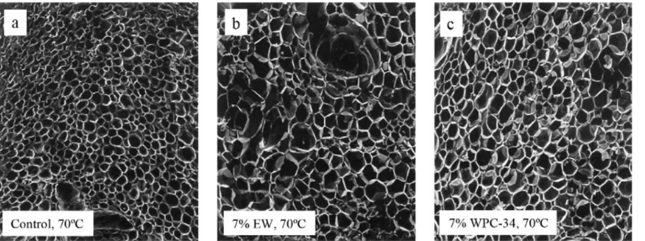 Fig. 6. Scanning electron micrographs (SEMs) of extrudates oven dried at 70 ◦ C; (a) control, (b) 7% egg white, (c) 7% whey protein concentrate [26]