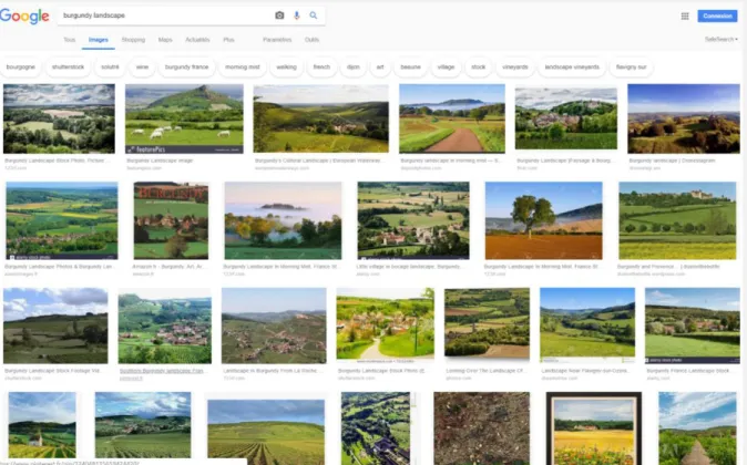 Figure 1 : Mosaïque des images issues de la recherche sur Google Image &#34;Burgundy  landscape&#34;, recherche  effectuée en février 2019