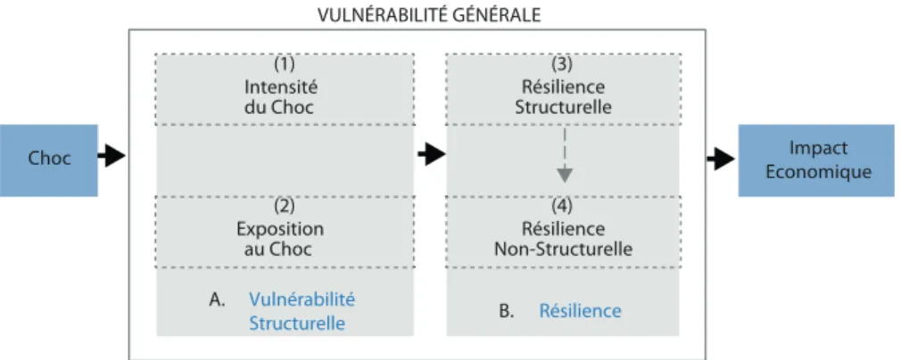Figure 2.2 : La vulnérabilité aux chocs exogènes