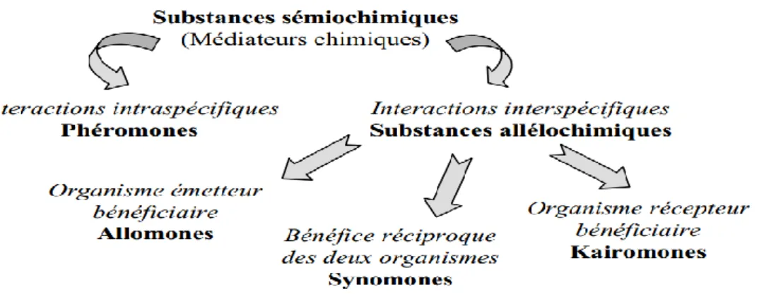 Figure 17 : Schéma représentant les différentes catégories de médiateurs chimiques  (Gaspar, 2003)