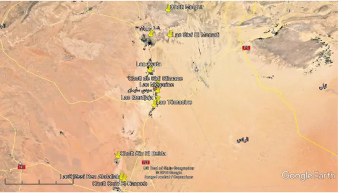 Figure 06 : Localisation des zones humides du Bas-Sahara algérien (Google earth 2019) 