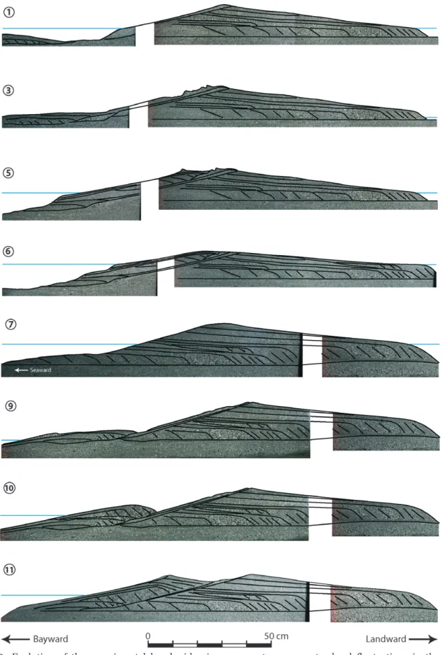 Fig. 10. Evolution of the experimental beach ridge in response to mean water level fluctuations in the flume.