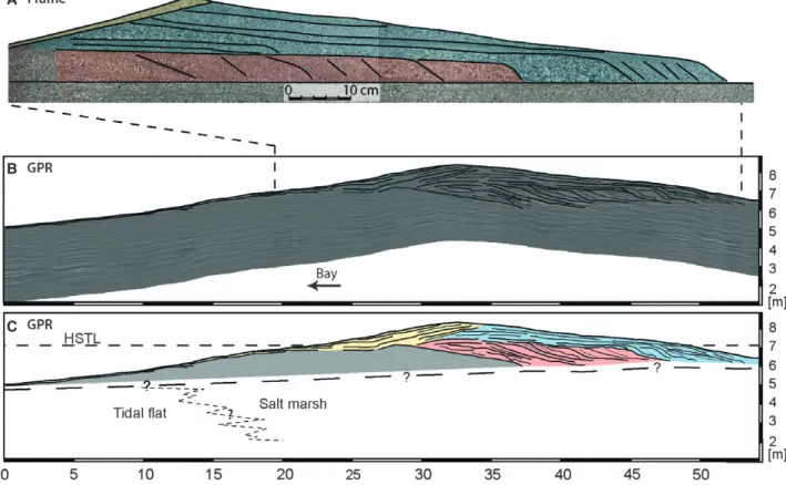 Fig. 11. Comparisons between the modelled beach ridge in the flume at Stage 1 (A) and the GPR profile (B) and interpretation (C) of the late transgressive beach ridge stage (‘GPR 2’ profile, Fig