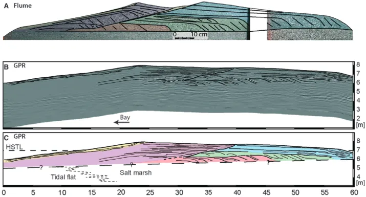 Fig. 12. Comparisons between the modelled beach ridge in the flume at Stage 11 (A) and the GPR profile (B) and interpretation (C) for the prograded beach ridge stage (‘GPR 3’ profile, Fig