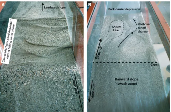 Fig. 7. Evolution of the beach ridge surface with changing water level. (A) Falling water level: Coarse sediment removed from the breaker zone is deposited after swash ends and gradually covers the foreshore during falling water stage