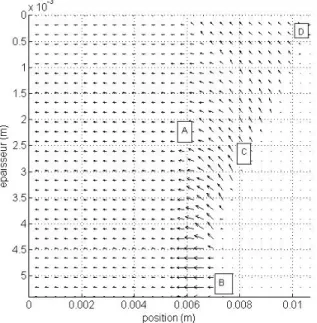 Figure 4. Allure du gradient de pression dans l’épaisseur 