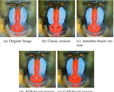 Fig. 4. Openings of the image in (a) by means of square-shaped Structuring element with size 7 (b), opening by reconstruction with a square-shaped SE of size 5 (c), morphological amoebas with radius 30 (d), AGNs with radius 90 (e) and CANs as ASEs with m =