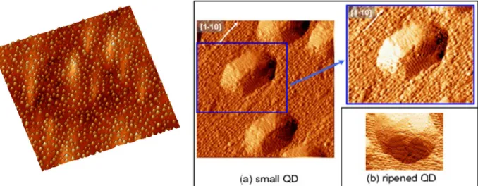 Fig. 1 : 800x800 nm² STM image of (In,Ga)As QDs 