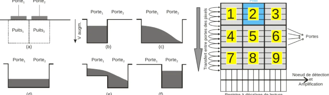 Figure 2 –Transfert de charge entre deux portes adjacentes  Principe du transfert de charge pour un capteur  3x3 pixels à quatre phases par pixel (encadré pour 