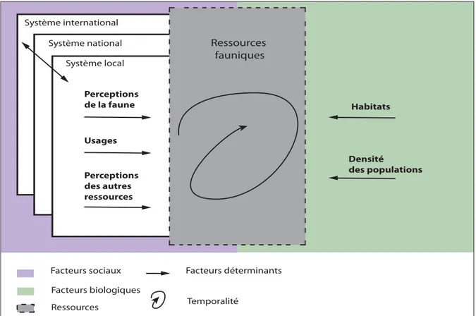Figure I.4 : Analyse systémique de la notion de ressource faunique