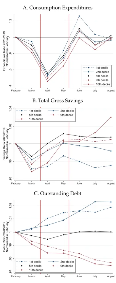 Figure 8: Dynamics of Consumption, Liquid Savings and Debt by Deciles of 2019 Total Expenditures