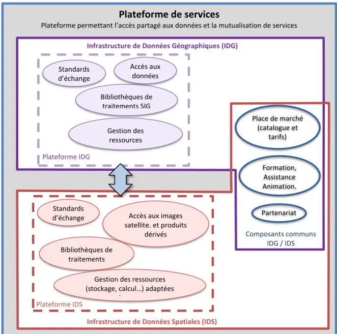 Figure 1.1. Plateforme, IDG, IDS : points communs et spécificités 