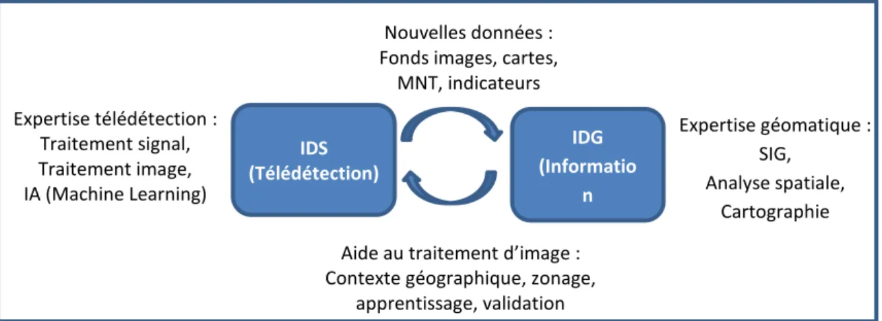 Figure 1.2. Complémentarité technique entre IDG et IDS 