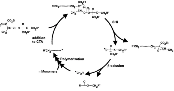 FIG.  1 -  Mécanisme  de  polymérisation  radicalaire en  présence  d'un  agent  d'addition-  fragmentation  de type peroxycétal 