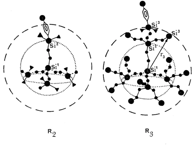 FIG.  12 -  Synthèse  de membranes  perméables  à l'oxygène 