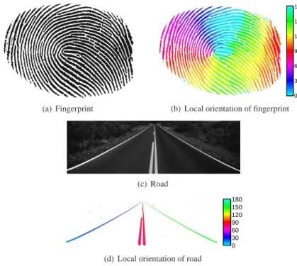 Figure 8: Extraction of local orientation on (a) a fingerprint and (b) a road image.
