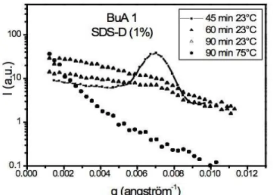 Figure 1: Image GISAXS d'une monocouche de PS- PS-PAA : les deux lignes qui se rejoignent au sommet  montre  le  caractère  2D  de  la  diffraction  due  au  réseau hexagonal de micelles de surfaces