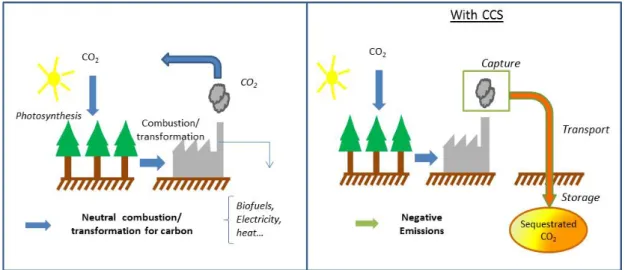 Figure 2. Bioenergy and Carbon capture and storage 