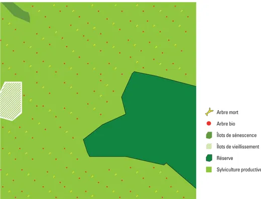Figure 1. Présentation théorique des différents outils de conservation de la nature en forêt