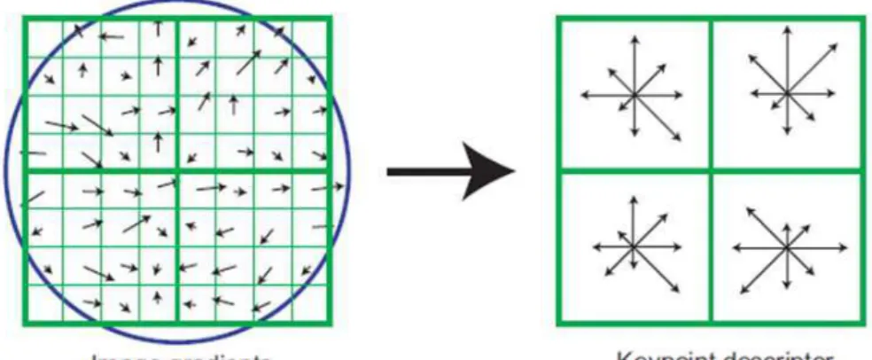 Figure 3.10: Desripteur SIFT : les éléments de la grille de gauhe sont pondérés par