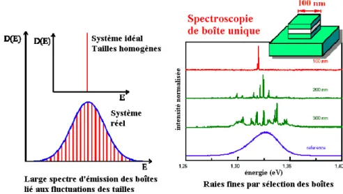 Fig. 1.3 – Spectres de PL ` a basse temp´ erature r´ ealis´ es sur un nombre variable de BQs (d), mettant en ´ evidence la dispersion des dimensions des BQs conduisant ` a une largeur inhomog` ene de luminescence