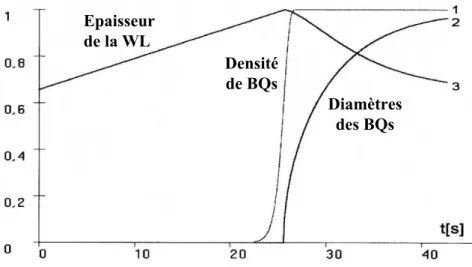 Fig. 1.15 – D´ ependance au cours du temps de la densit´ e de BQs (1), du diam` etre (3) et de l’´ epaisseur de la WL (3)