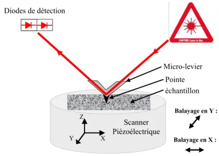 Fig. 2.7 – Sch´ ema de principe de l’AFM Param` etres du logiciel de contrˆ ole